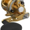 Avet SX G2 5.3 MC Single Speed Reel Gold -Quality Fishing Supplies Store avet sx g2 5 3 mc single speed reel ave 0523 1 28776.1670337321.386.513