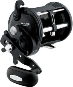 Daiwa Sealine SLW Levelwind Reels -Quality Fishing Supplies Store daiwa sealine slw levelwind reels 06598.1650807995