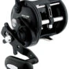 Daiwa Sealine SLW Levelwind Reels -Quality Fishing Supplies Store daiwa sealine slw levelwind reels 89967.1650807995