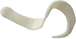 Fishbites Bobs Your Uncle Scented Bait Strips 9 Fishbites Bobs Your Uncle Scented Bait Strips -Quality Fishing Supplies Store fishbites bobs your uncle scented bait strips 24788.1650780620