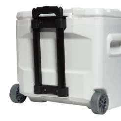 Igloo Marine Ultra Quantum 28 Quart Roller Cooler 10 Igloo Marine Ultra Quantum 28 Quart Roller Cooler -Quality Fishing Supplies Store igloo 00045929 marine ultra quantum 28 quart roller cooler 83324.1650936287