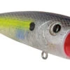 Livingston Lures 5302 Tournament Walk N Pop 67-1 Topwater Popper 2 Livingston Lures 5302 Tournament Walk N Pop 67-1 Topwater Popper -Quality Fishing Supplies Store livingston lures 5302 tournament walk n pop 67 1 topwater popper 85013.1650782641