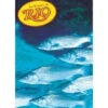 Rio Striped Bass Knotless 7ft Leader 13.2lb -Quality Fishing Supplies Store riostrbasslead rio 0019 3 22622.1650842089.386.513