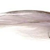 Umpqua Rogers Big Eye Baitfish -Quality Fishing Supplies Store rogbigeyebai 73621.1650842439.386.513