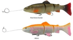 Quality Fishing Supplies Store -Quality Fishing Supplies Store savage gear pre rigged 3d line thru trout lures 89082.1650821678