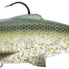Savage Gear Pulse Tail Baitfish RTF Swimbaits -Quality Fishing Supplies Store savage gear pulse tail baitfish rtf swimbait 30254.1651281954
