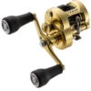 Shimano Calcutta Conquest MD Baitcasting Reels 2 Shimano Calcutta Conquest MD Baitcasting Reels -Quality Fishing Supplies Store shimano calcutta conquest md baitcasting reels 10126.1674255439