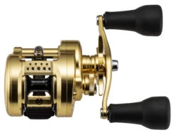 Shimano Calcutta Conquest MD Baitcasting Reels -Quality Fishing Supplies Store shimano calcutta conquest md baitcasting reels 25316.1674255441