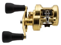 Shimano Calcutta Conquest MD Baitcasting Reels -Quality Fishing Supplies Store shimano calcutta conquest md baitcasting reels 26236.1674255440