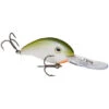 Strike King Pro Model 3XD Crankbait - The Shizzle -Quality Fishing Supplies Store strike king hc3xd 477 pro model 3xd crankbait 84647.1671647498.386.513