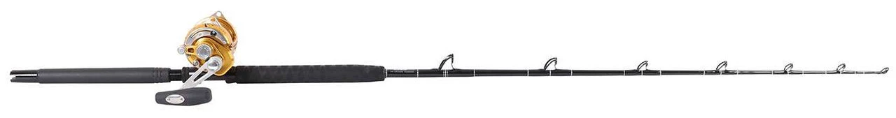 Penn International 30VISX / TackleDirect Platinum Hook Standup Combo 5 Penn International 30VISX / TackleDirect Platinum Hook Standup Combo - Image 3