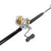 Shimano Talica TAC50II / TackleDirect Platinum Hook Standup Combo -Quality Fishing Supplies Store tackledirect platinum hook tdps645080wtsin shimano tac50ii combo 74795.1651325957