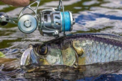 Van Staal VR Spinning Reels -Quality Fishing Supplies Store van staal vr series spinning reels 64380.1651333665